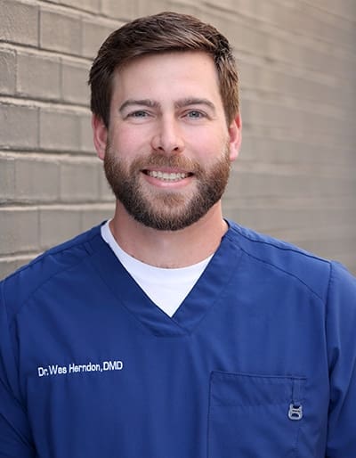 herndon family dentistry doctor Wes Herndon - Meet our Doctors